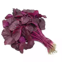 লাল শাক (আটি) / (Red Spinach)